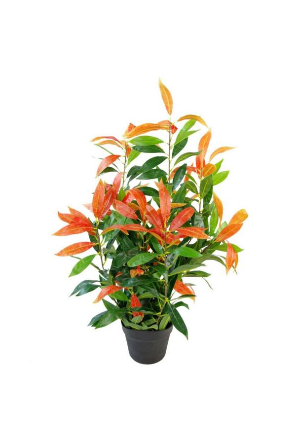 Dyzi Realistic Red & Green Ficus Plant with Moss Covered Pot