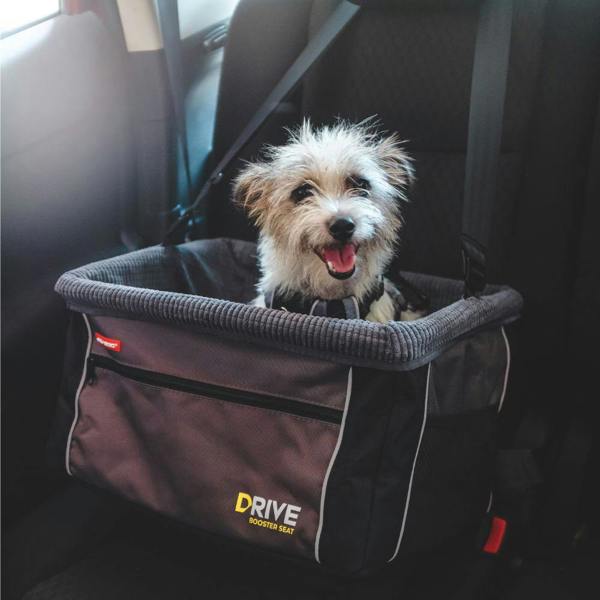 EzyDog Drive Dog Booster Seat