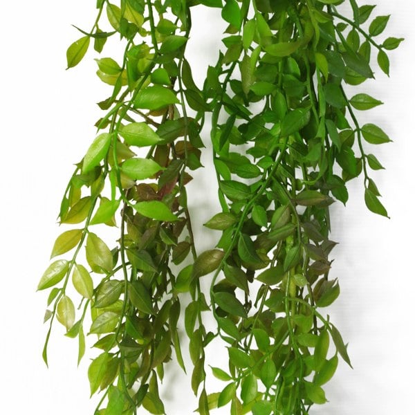 Leaf 100cm Hanging String of Pearls Fern Plant Dark Green