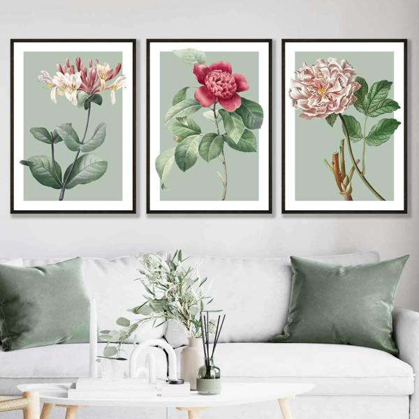 Artze Wall Art Vintage Flowers Honeysuckle, Peony Set of 3 Framed Prints