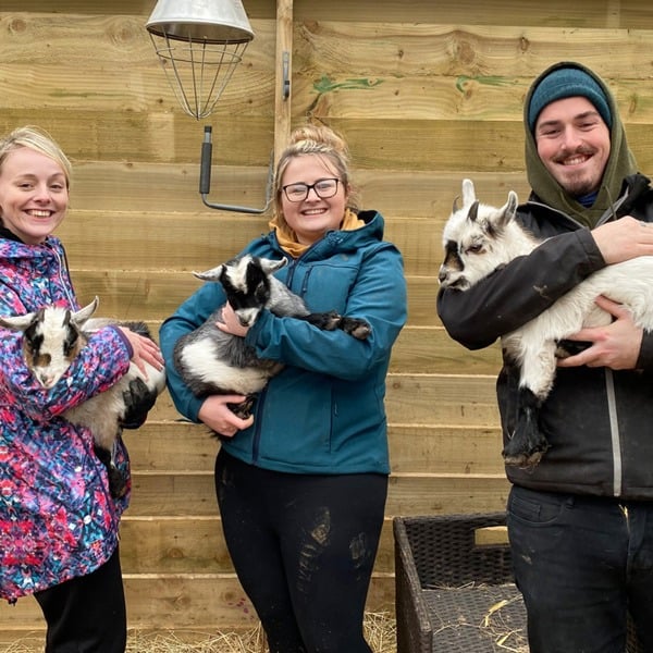Virgin Experience Days Pygmy Goat Experience for Two