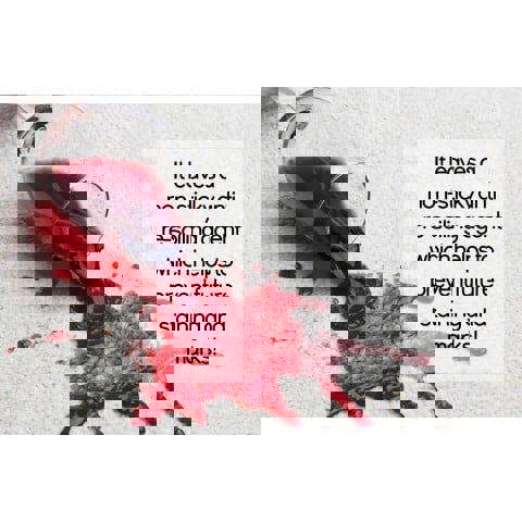 Mylek Pro-Kleen Professional Carpet Shampoo - Citrus Fragrance 20L