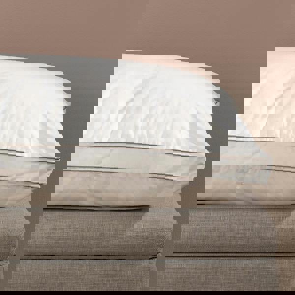 Soak&Sleep Soft as Down Pillows