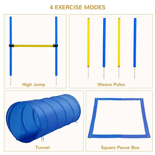 Blue agility hurdle, yellow-and-blue weave poles, tunnel, and square pause box