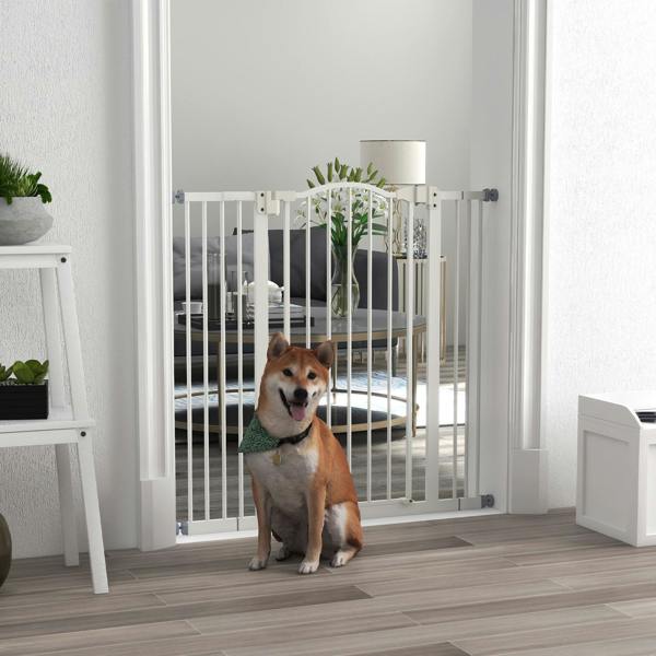 Pet Gate