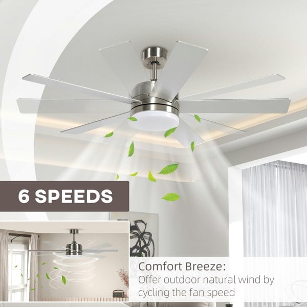 Ceiling Fan With Light