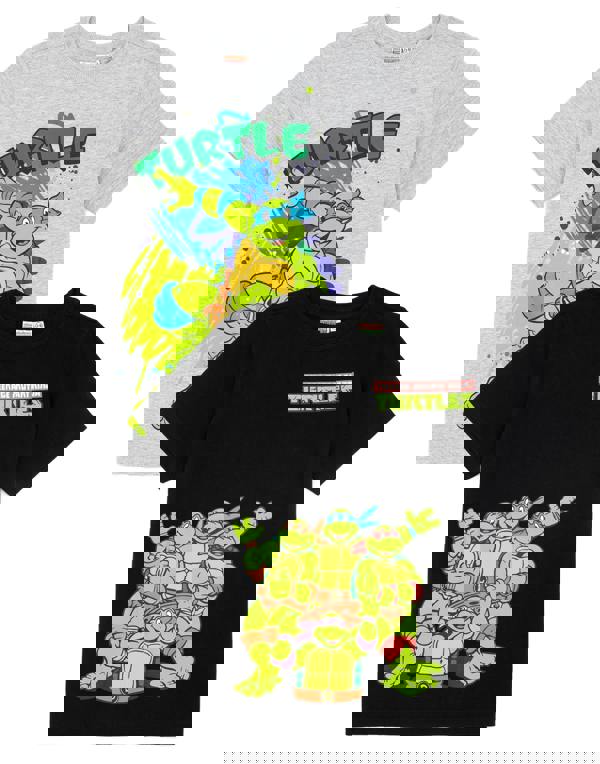 Teenage Mutant Ninja Turtles Boys Multicoloured Multi Character Multi-Pack of 2 Short-Sleeved T-Shirts