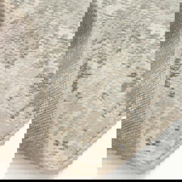 Asiatic Stellar ST12 Distressed Silver Rug