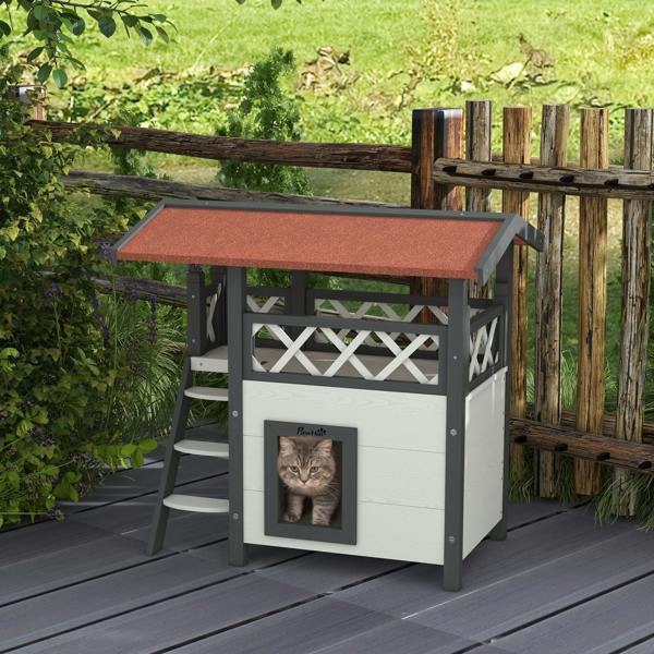 Cat House