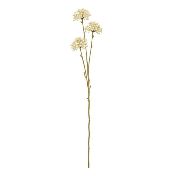 Wyld Haus Set of 3 Artificial Flowers Cream Allium Sprays