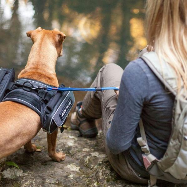 EzyDog Convert Saddle Bags for Express Harness