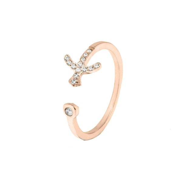 Say It With Sagittarius Ring with CZ Stones - Rose Gold Plated