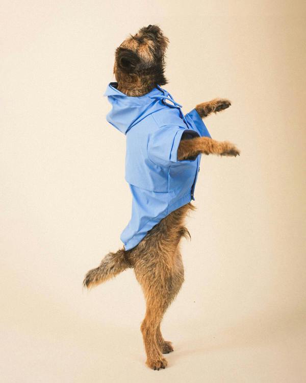 Barc London Blue Dog Raincoat
