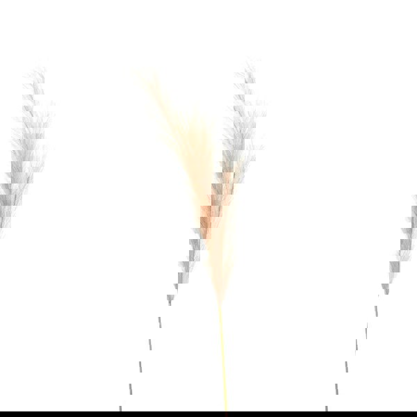 Hill Interiors Pampas Grass Artificial Flower - Taupe