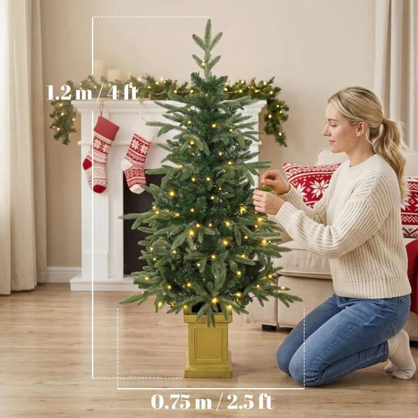 Christmas Tree with Lights