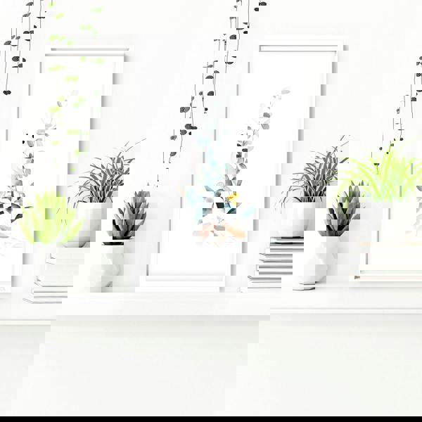 Bathroom wall decor UK | Set of 3 Botanical art prints