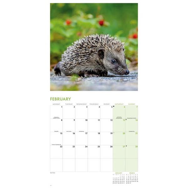 Hedgehogs Calendar 2027, Wall Calendars, Month To View, Animals, Gift