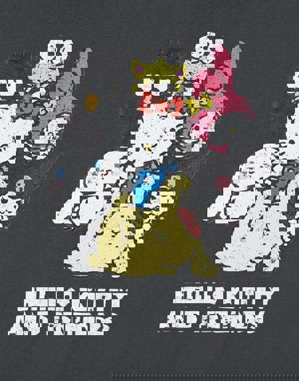 Hello Kitty Womens Grey Hello Kitty & Friends Cropped Short Sleeved T-Shirt