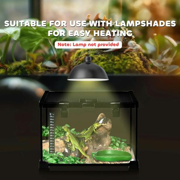 Black glass terrarium enclosure under a lamp, with green water basin inside