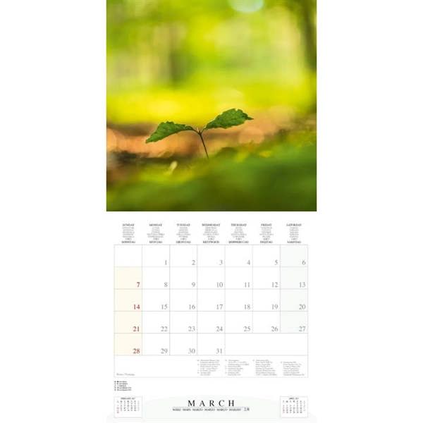 Deep Forest Calendar 2027, Wall Calendars, Month To View, Natural World, Gift