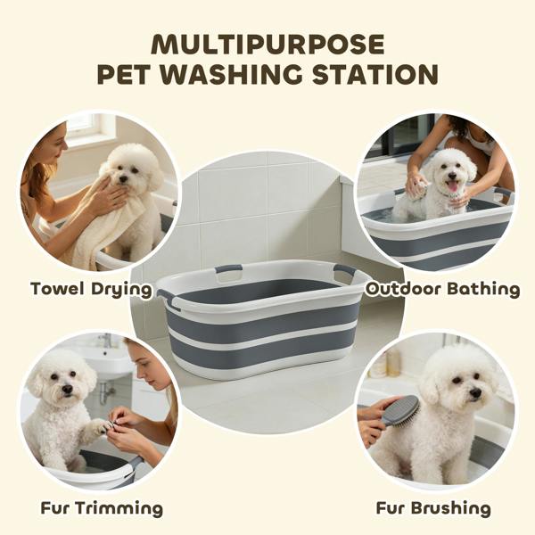 Pet Swimming Pool