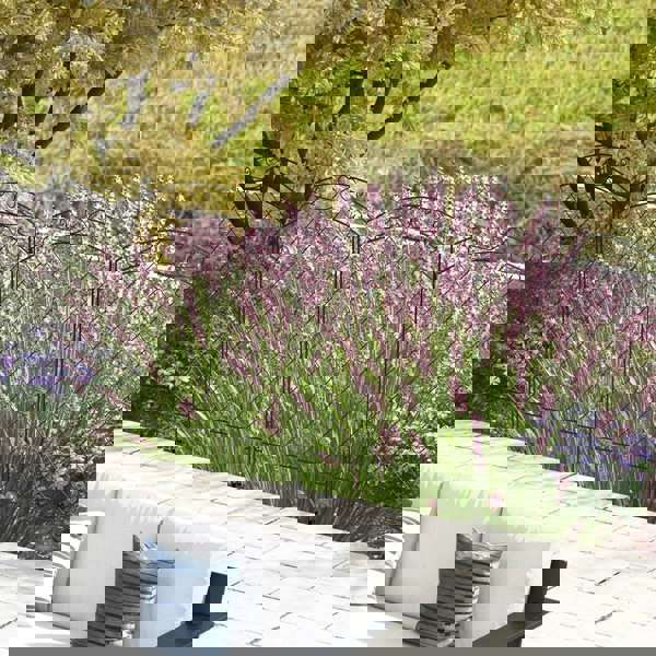 Garden Fence