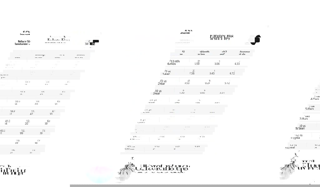 size guide for the enchanted dresses 