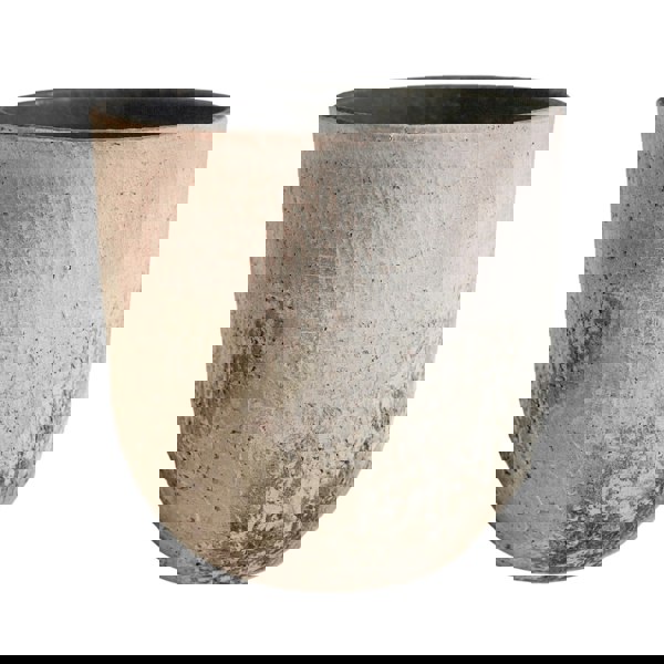 Ivyline Albero Planter