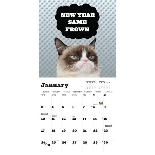 Chronicle Books Grumpy Cat Calendar 2027, Wall Calendars, Month To View, Humour, Gift