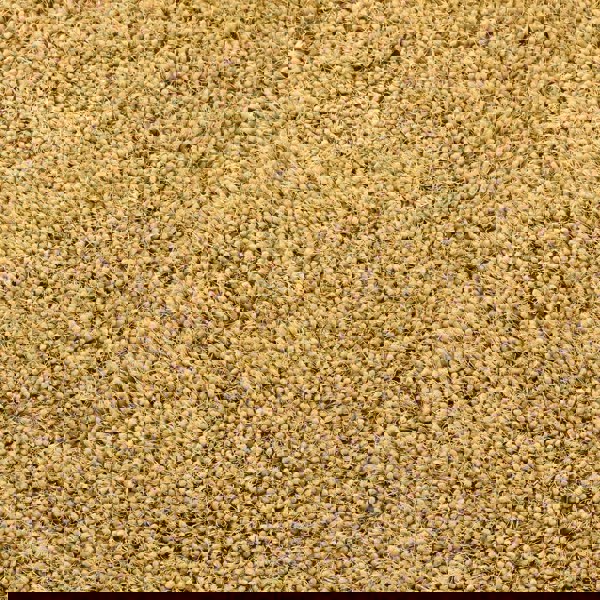 Origins Chicago Ochre