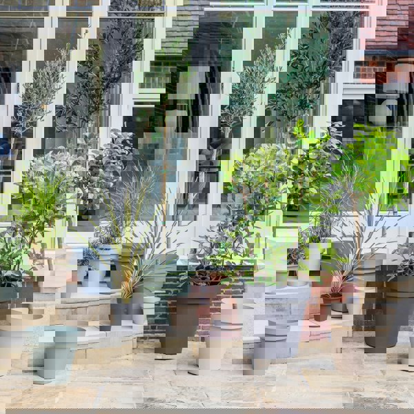#color_grey