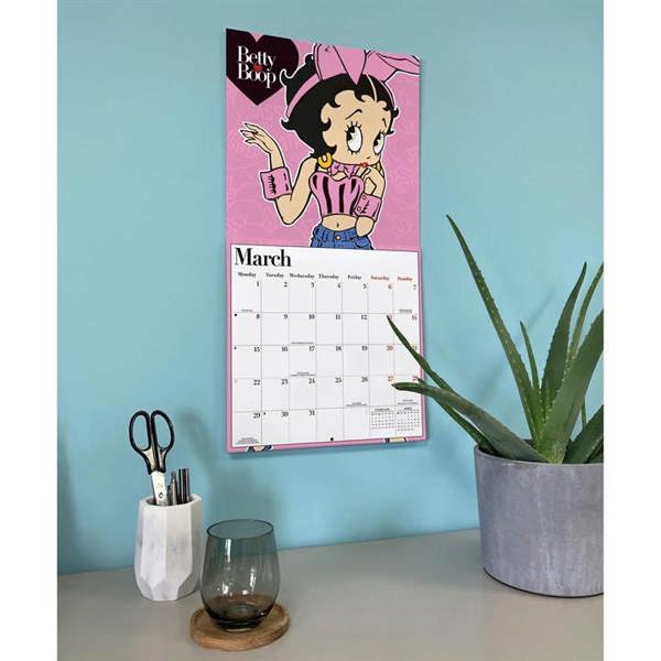 Betty Boop Calendar 2027, Wall Calendars, Month To View, Humour, Gift