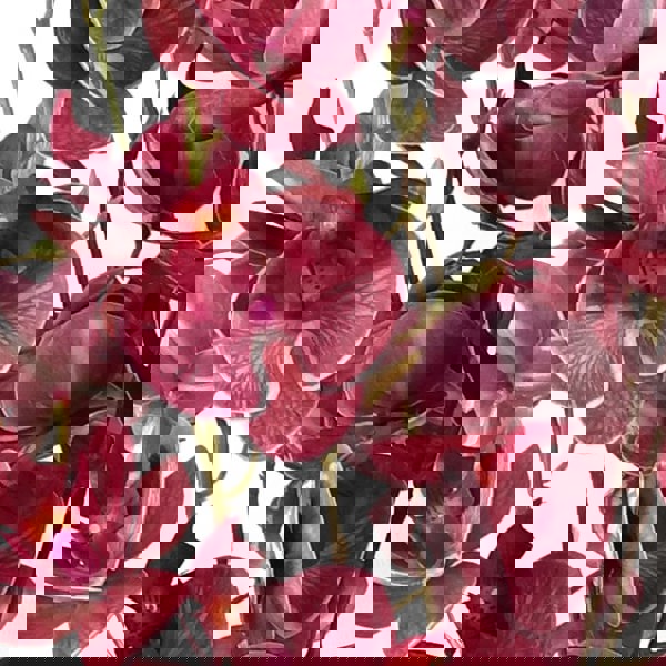 Leaf Pack of 6 x 80cm Dark Pink Artificial Mini Orchid Stem