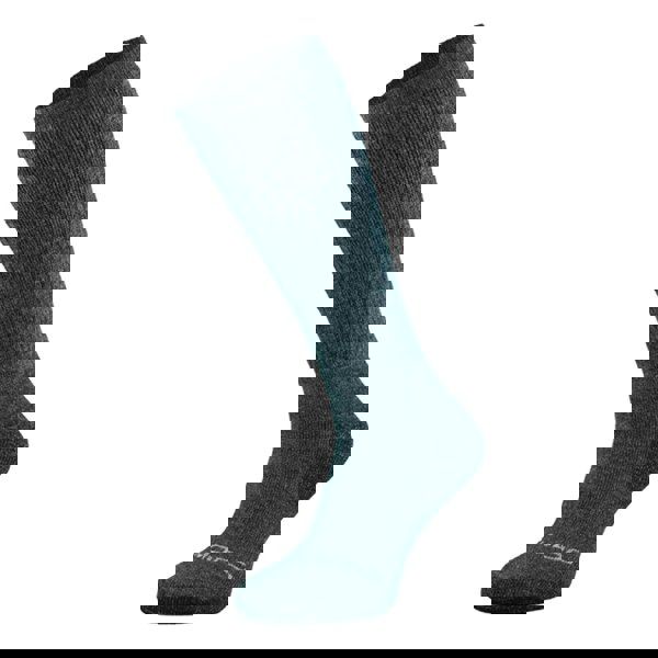 t4option1_0
