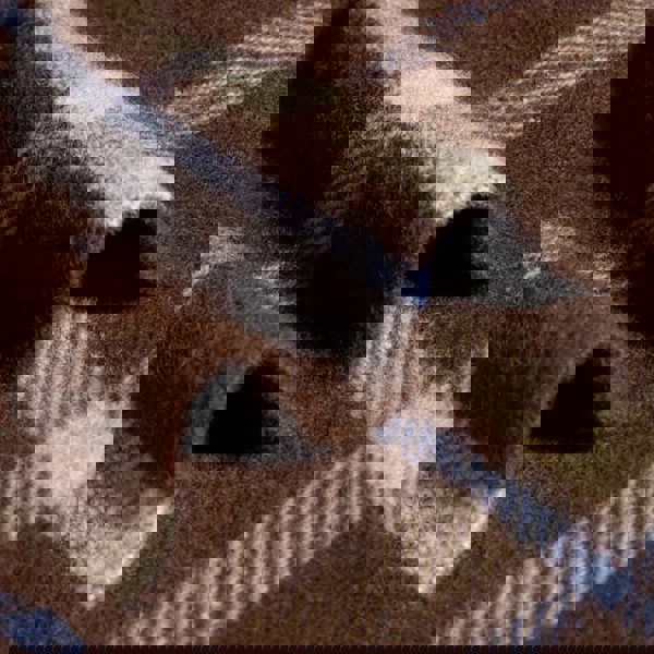 Heating & Plumbing London Evening Tales - Pure New Wool Blanket - Checkmate Mocha