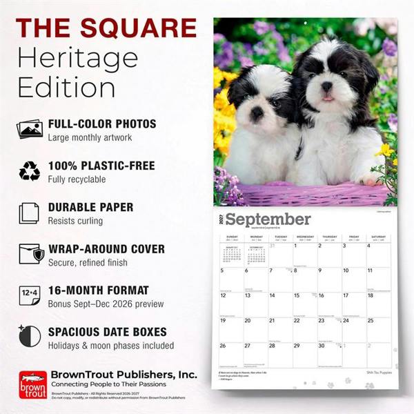 Shih Tzu Puppies Calendar 2027, Wall Calendars, Month To View, Dogs, Gift