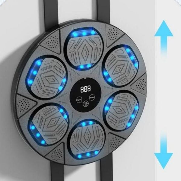 Leaper Sports Training Smart Musical Boxing Targets