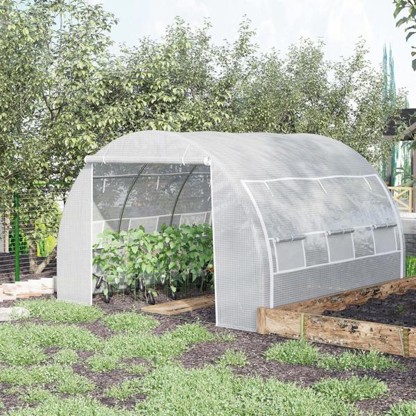 Tunnel Green House