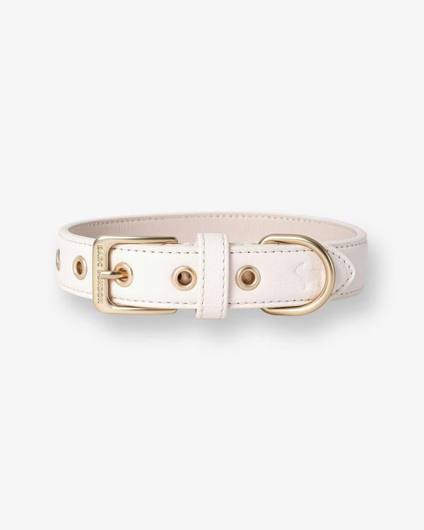 Barc London Light Ivory Dog Collar