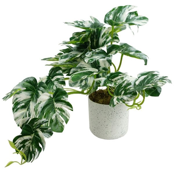 Leaf 30cm Artificial Variegated Green Potted Monstera Trailing Plant