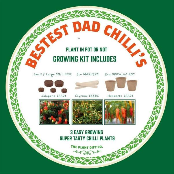 'Number One Dad' Eco Grow Your Own Chilli Plants Kit - product in use