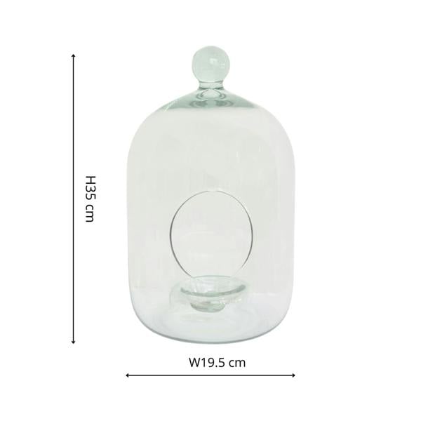 Ivyline Glass Bell Jar Open Terrarium