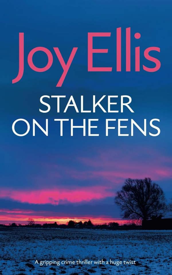 Detective Nikki Galena Series 4-6 Books Collection Set by Joy Ellis (Killer on the Ferns, Stalker on the Ferns, Captive on the Ferns)
