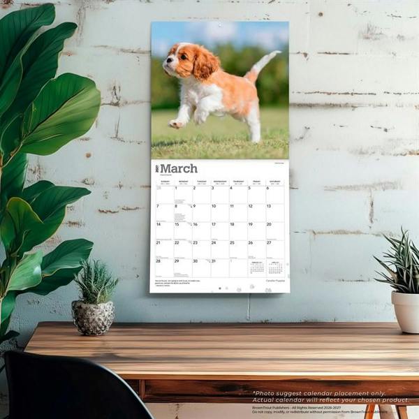 Cavalier King Charles Spaniel Puppies Calendar 2027, Wall Calendars, Month To View, Dogs, Gift