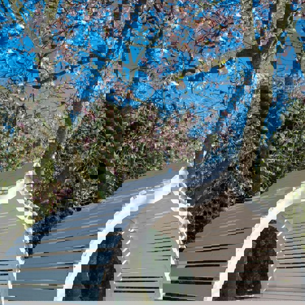 Shire Bejoda Arbour Garden Arch - Best Shed