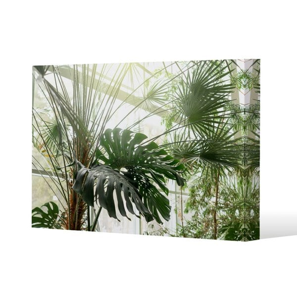 Benjamin Tate Design Green plants in botanical garde (Canvas Print)