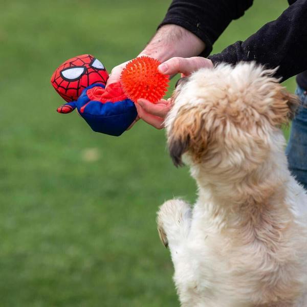 Cerda MARVEL For Fan Pets | Spider-Man Dog Teddy - Dog Rope Toy