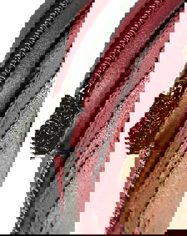 Vanilla Underground Danielle Nicole Womens Pink Gryffindor Lion Cross Body Bag (One Size)