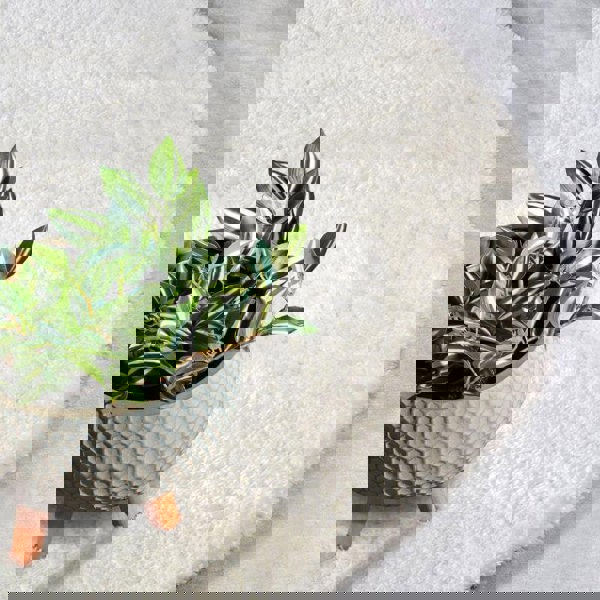 Myk Olaf High Pile Rug Plain Design