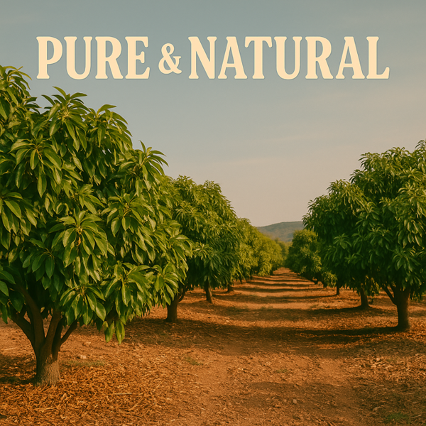 Ol'Vita Avocado Oil | Cold Pressed | Unrefined